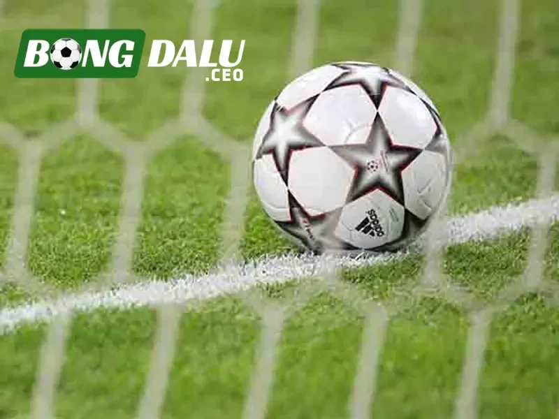 Các bước tính toán điểm thưởng kèo